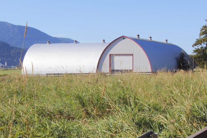 Arch Building Domed Roof